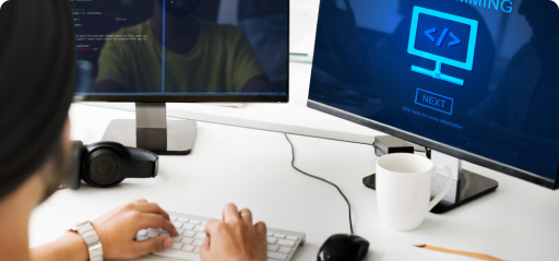 Custom WordPress Theme and Plugin Development